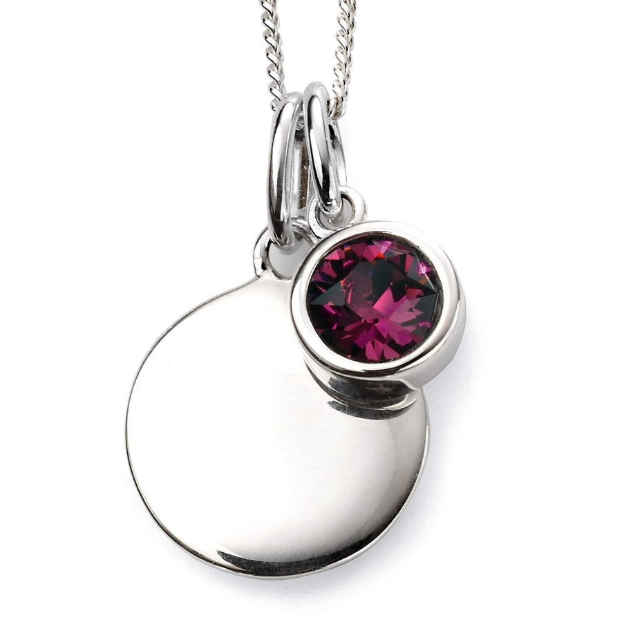 Sterling Silver February Birthstone Pendant & Disk With Chain