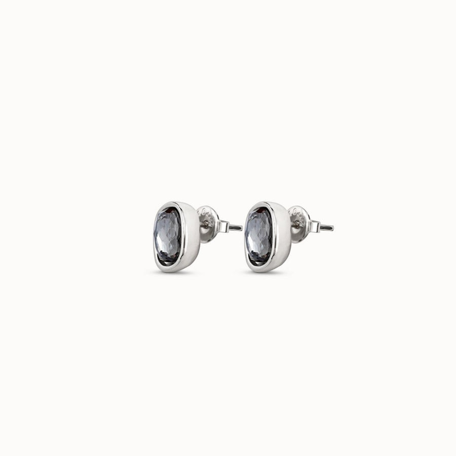 Silver Plated Grey Crystal Stud Earrings