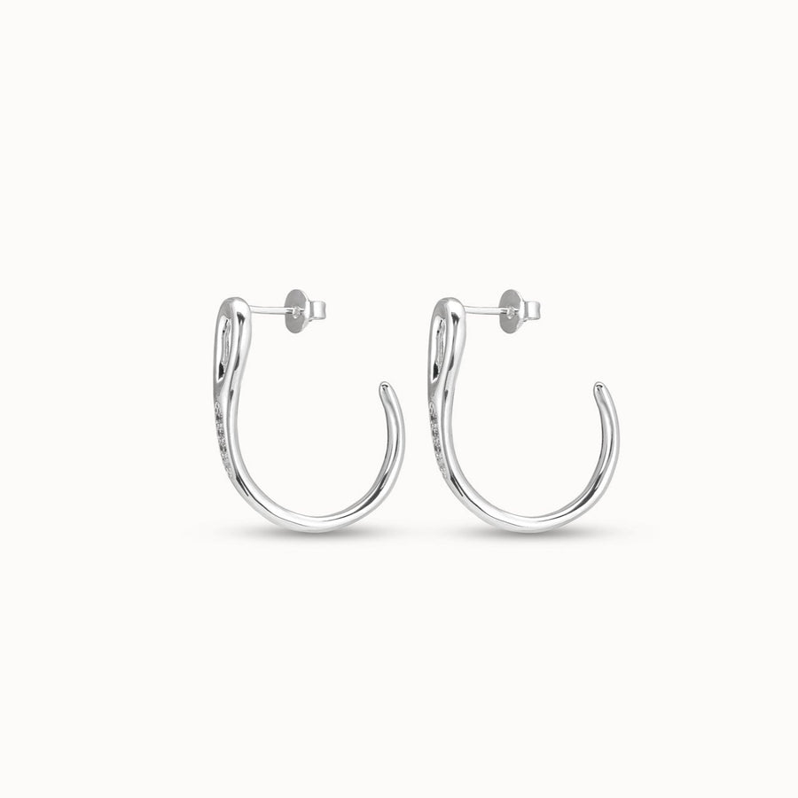 Silver Plated Curved Needle Crystal Set Earrings