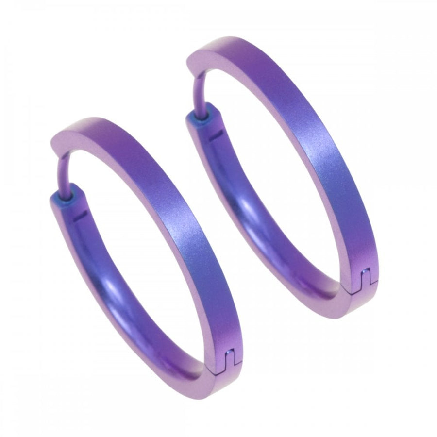 Titanium Hinged Hoop Earrings - imperial purple
