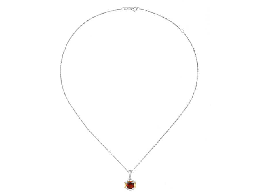 Amore Argento Silver Two-Tone Detail Garnet Pendant & Chain
