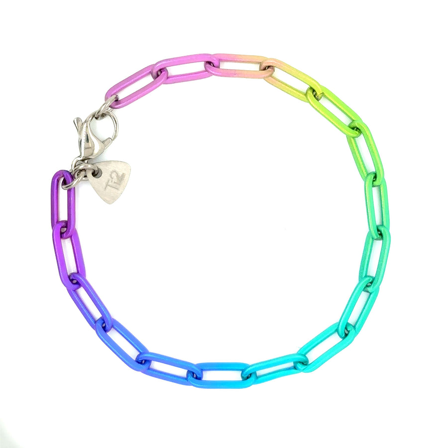 Titanium Rainbow Gradient Link Bracelet