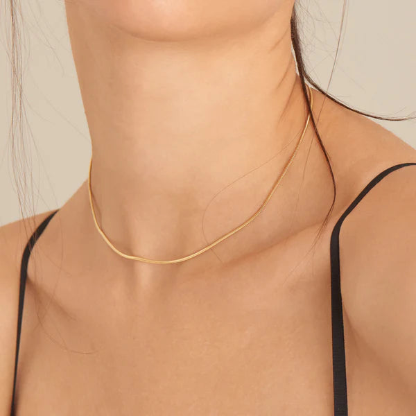 Ania Haie Gold Snake Chain Necklace