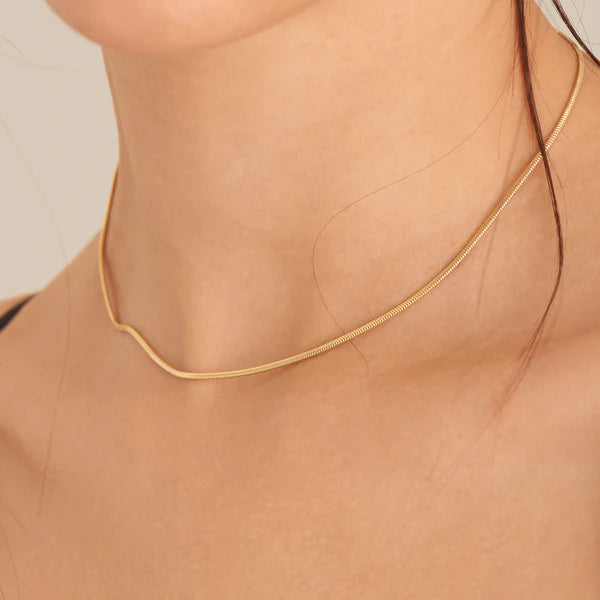 Ania Haie Gold Snake Chain Necklace