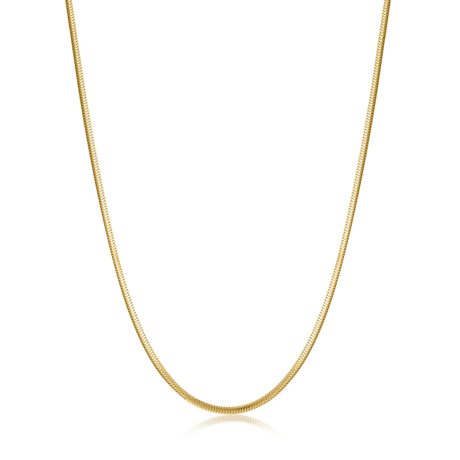 Ania Haie Gold Snake Chain Necklace
